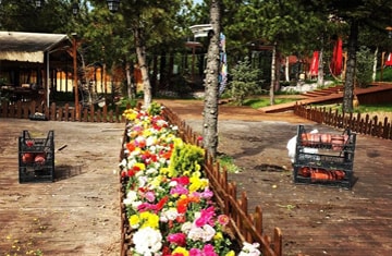 Ankara Bebek Mevlütü